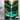Tableau Horizon Serein