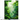 Tableau Vert Nature de Tablesia représentant une jungle luxuriante avec feuillages verts divers
